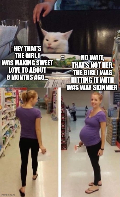 NO WAIT, THAT'S NOT HER. THE GIRL I WAS HITTING IT WITH WAS WAY SKINNIER; HEY THAT'S THE GIRL I WAS MAKING SWEET LOVE TO ABOUT 8 MONTHS AGO... | image tagged in smudge that darn cat | made w/ Imgflip meme maker