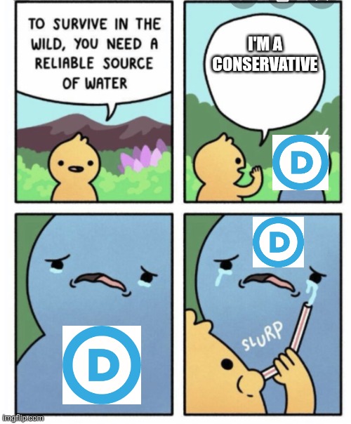 Drinking Democrat Tears | I'M A CONSERVATIVE | image tagged in water reliable source- drinks tears | made w/ Imgflip meme maker
