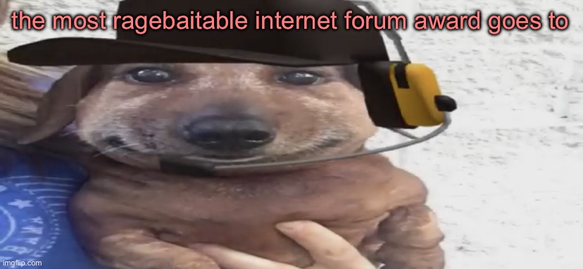 chucklenuts | the most ragebaitable internet forum award goes to | image tagged in chucklenuts | made w/ Imgflip meme maker