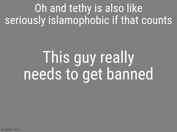 the avaritia image | Oh and tethy is also like seriously islamophobic if that counts; This guy really needs to get banned | image tagged in the avaritia image | made w/ Imgflip meme maker