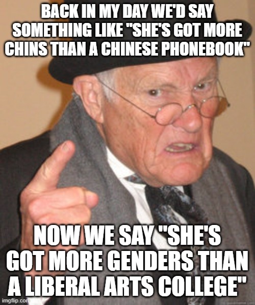 Back In My Day | BACK IN MY DAY WE'D SAY SOMETHING LIKE "SHE'S GOT MORE CHINS THAN A CHINESE PHONEBOOK"; NOW WE SAY "SHE'S GOT MORE GENDERS THAN A LIBERAL ARTS COLLEGE" | image tagged in memes,back in my day | made w/ Imgflip meme maker