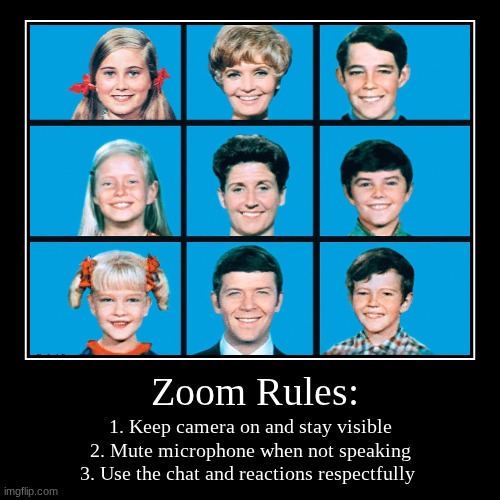 Zoom Rules: | 1. Keep camera on and stay visible
2. Mute microphone when not speaking
3. Use the chat and reactions respectfully | image tagged in funny,demotivationals | made w/ Imgflip demotivational maker