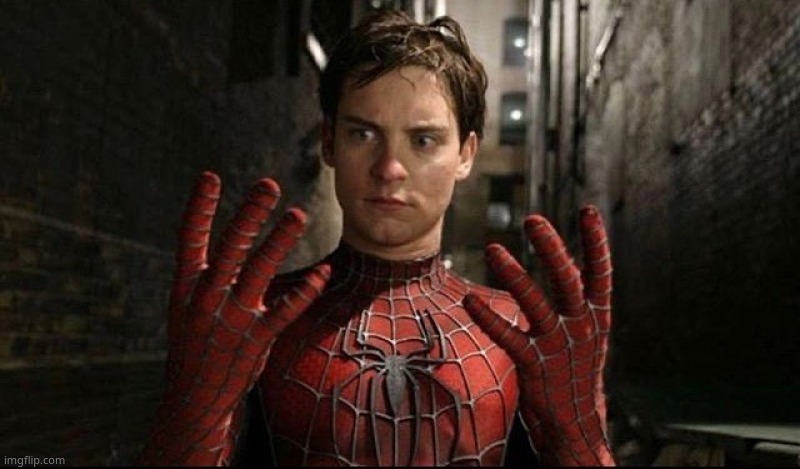 Spiderman Hands Meme | image tagged in spiderman hands meme | made w/ Imgflip meme maker