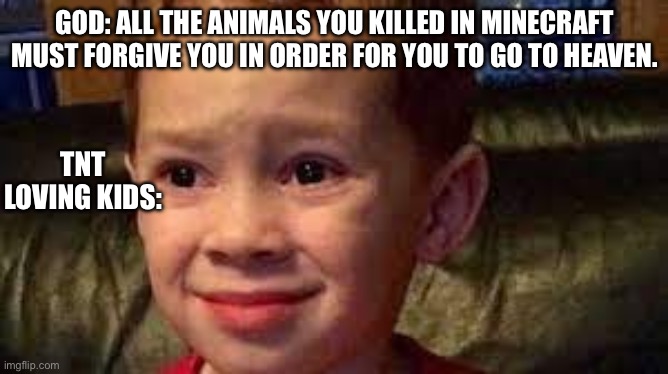 embarrassed child | GOD: ALL THE ANIMALS YOU KILLED IN MINECRAFT MUST FORGIVE YOU IN ORDER FOR YOU TO GO TO HEAVEN. TNT LOVING KIDS: | image tagged in embarrassed child | made w/ Imgflip meme maker