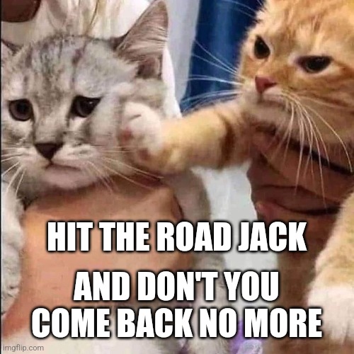 Cat slap | HIT THE ROAD JACK; AND DON'T YOU COME BACK NO MORE | image tagged in cat slap | made w/ Imgflip meme maker
