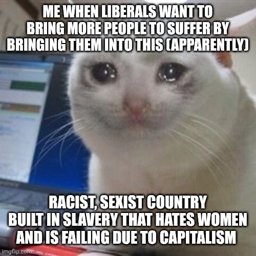 Why?! Why do liberals hate minorities and women so much?!?! | ME WHEN LIBERALS WANT TO BRING MORE PEOPLE TO SUFFER BY BRINGING THEM INTO THIS (APPARENTLY); RACIST, SEXIST COUNTRY BUILT IN SLAVERY THAT HATES WOMEN AND IS FAILING DUE TO CAPITALISM | image tagged in crying cat | made w/ Imgflip meme maker