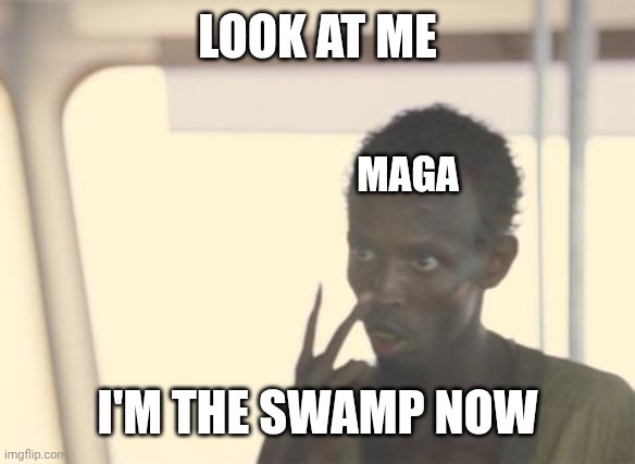 I'm The Captain Now Meme | LOOK AT ME; MAGA; I'M THE SWAMP NOW | image tagged in memes,i'm the captain now | made w/ Imgflip meme maker