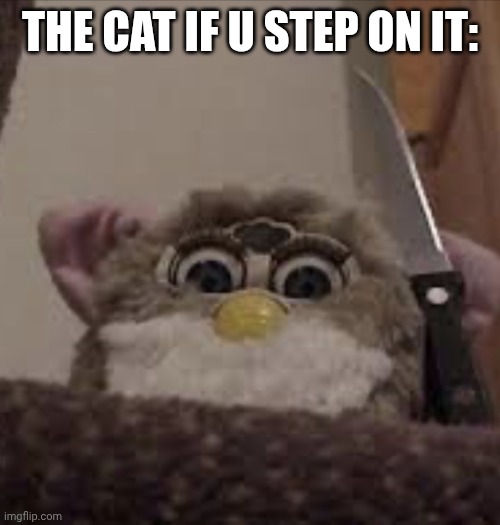 Furby delete this | THE CAT IF U STEP ON IT: | image tagged in furby delete this | made w/ Imgflip meme maker