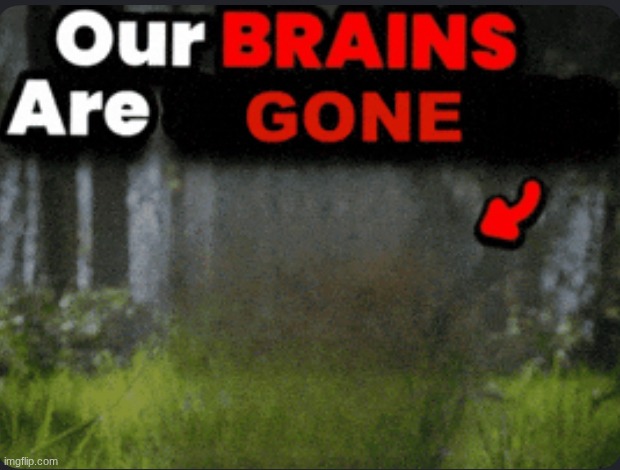 Our brains are GONE | image tagged in our brains are gone | made w/ Imgflip meme maker