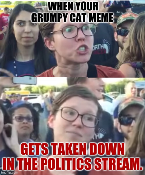 Two faced liberal snowflake who doesn't like the truth | WHEN YOUR GRUMPY CAT MEME; GETS TAKEN DOWN IN THE POLITICS STREAM. | image tagged in two faced liberal snowflake,grumpy cat,memes,taken down,politics,stream | made w/ Imgflip meme maker