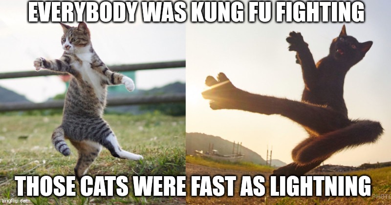 Kung Fu cats | EVERYBODY WAS KUNG FU FIGHTING; THOSE CATS WERE FAST AS LIGHTNING | image tagged in kung fu cats | made w/ Imgflip meme maker