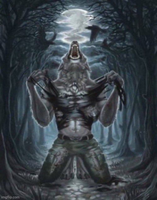 Template shuffle | image tagged in alpha wolf | made w/ Imgflip meme maker