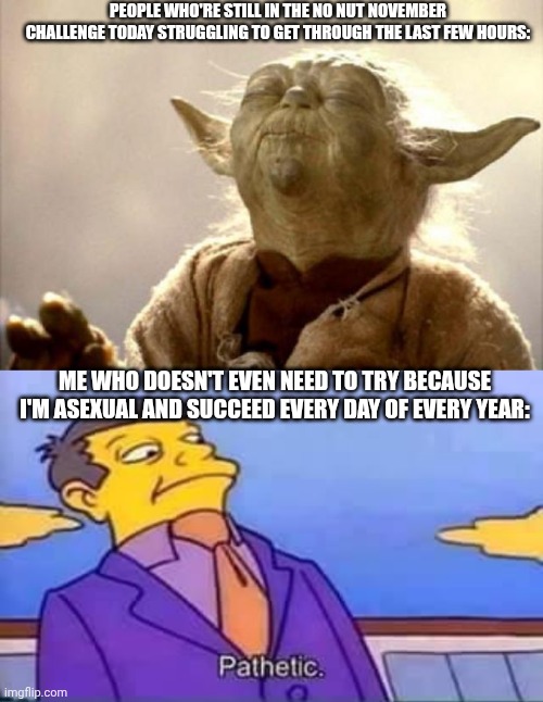 Asexuality Makes Winning NNN Easy | PEOPLE WHO'RE STILL IN THE NO NUT NOVEMBER CHALLENGE TODAY STRUGGLING TO GET THROUGH THE LAST FEW HOURS:; ME WHO DOESN'T EVEN NEED TO TRY BECAUSE I'M ASEXUAL AND SUCCEED EVERY DAY OF EVERY YEAR: | image tagged in yoda smell,skinner pathetic,no nut november,nnn,asexual,lgbtq | made w/ Imgflip meme maker