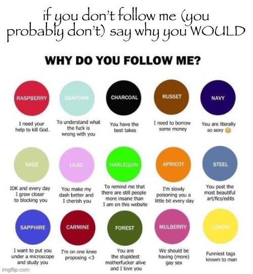 Why do you follow me | if you don’t follow me (you probably don’t) say why you WOULD | image tagged in why do you follow me | made w/ Imgflip meme maker