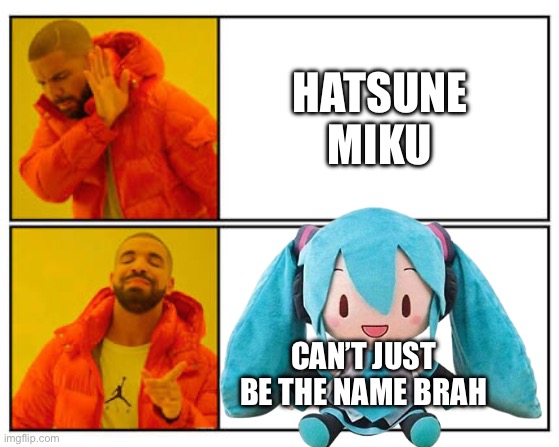 No - Yes | HATSUNE MIKU; CAN’T JUST BE THE NAME BRAH | image tagged in no - yes | made w/ Imgflip meme maker