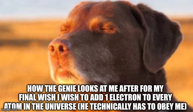 cooked dog | HOW THE GENIE LOOKS AT ME AFTER FOR MY FINAL WISH I WISH TO ADD 1 ELECTRON TO EVERY ATOM IN THE UNIVERSE (HE TECHNICALLY HAS TO OBEY ME) | image tagged in cooked dog | made w/ Imgflip meme maker