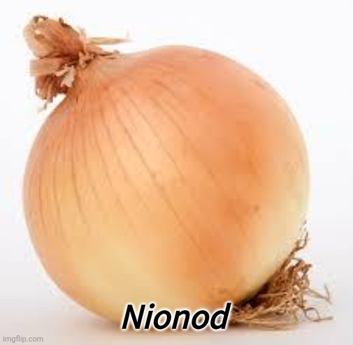 Onion | Nionod | image tagged in onion | made w/ Imgflip meme maker