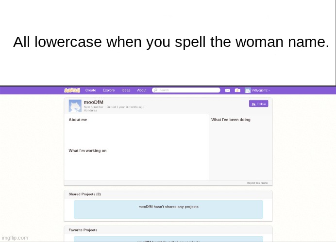 MF DOOM would be proud | All lowercase when you spell the woman name. | image tagged in white bar,scratch,mf doom,mood fm | made w/ Imgflip meme maker