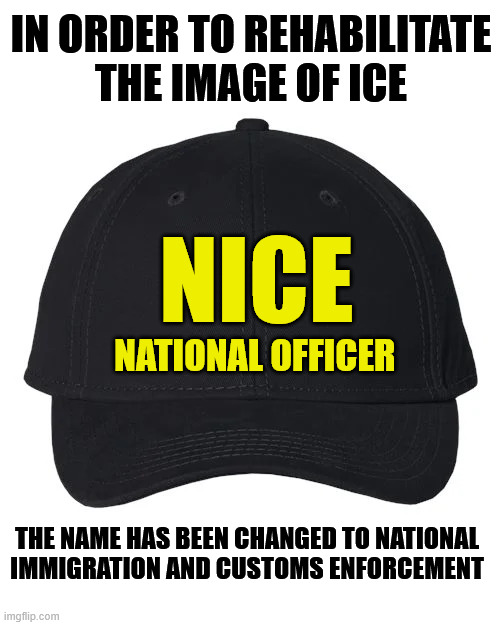 It can't hurt... | IN ORDER TO REHABILITATE
THE IMAGE OF ICE; NICE; NATIONAL OFFICER; THE NAME HAS BEEN CHANGED TO NATIONAL
IMMIGRATION AND CUSTOMS ENFORCEMENT | image tagged in ice,so i got that goin for me which is nice | made w/ Imgflip meme maker