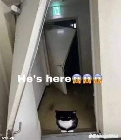 The image dump continues | made w/ Imgflip meme maker