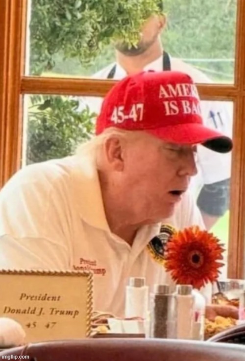 Senile Trump | image tagged in trump,senile | made w/ Imgflip meme maker