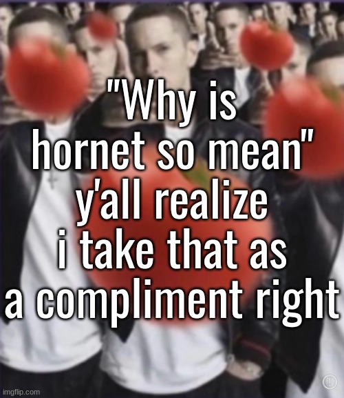 Low effort cyberbullying | "Why is hornet so mean" y'all realize i take that as a compliment right | image tagged in boo you stink | made w/ Imgflip meme maker