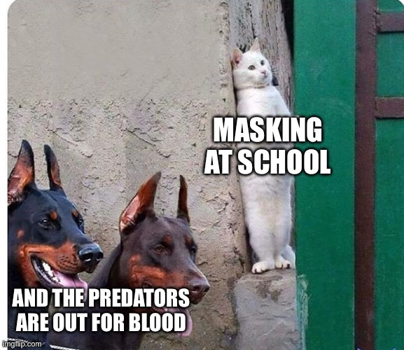 Masking | MASKING AT SCHOOL; AND THE PREDATORS ARE OUT FOR BLOOD | image tagged in hidden cat,mask,hiding,autism | made w/ Imgflip meme maker