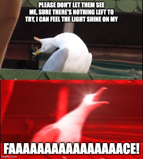 POV when you're listening to the line by 21 Pilots | PLEASE DON'T LET THEM SEE ME, SURE THERE'S NOTHING LEFT TO TRY, I CAN FEEL THE LIGHT SHINE ON MY; FAAAAAAAAAAAAAAAACE! | image tagged in screaming seagull | made w/ Imgflip meme maker
