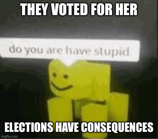 do you are have stupid | THEY VOTED FOR HER ELECTIONS HAVE CONSEQUENCES | image tagged in do you are have stupid | made w/ Imgflip meme maker