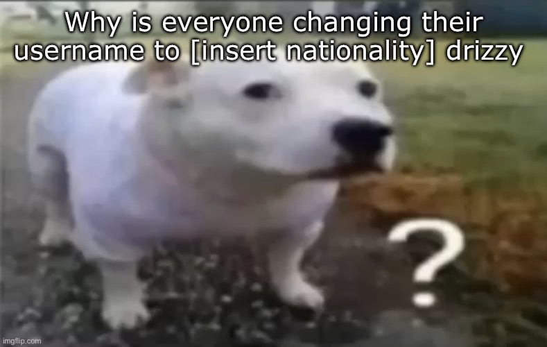 ? | Why is everyone changing their username to [insert nationality] drizzy | image tagged in guhjiffy | made w/ Imgflip meme maker