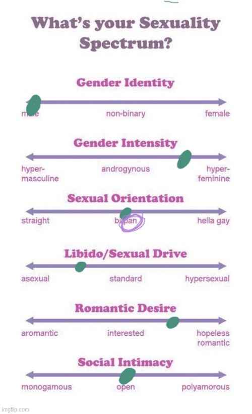What's your sexuality spectrum? | image tagged in what's your sexuality spectrum | made w/ Imgflip meme maker