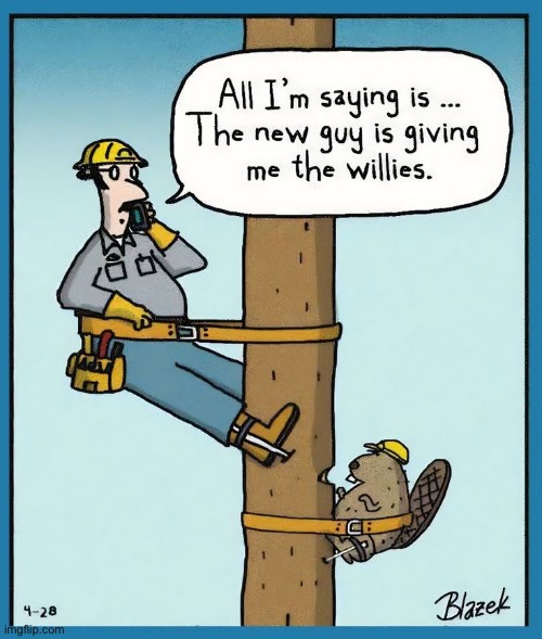 The new guy looks like he’s good at his job… | image tagged in repost,comics,lineman,beaver,the new guy | made w/ Imgflip meme maker