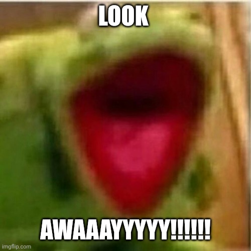 AHHHHHHHHHHHHH | LOOK AWAAAYYYYY!!!!!! | image tagged in ahhhhhhhhhhhhh | made w/ Imgflip meme maker