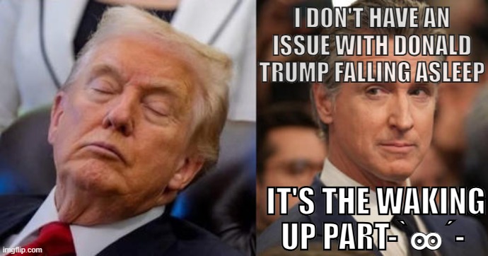 trump for prison | I DON'T HAVE AN ISSUE WITH DONALD TRUMP FALLING ASLEEP; IT'S THE WAKING UP PART-`ꧮ´- | made w/ Imgflip meme maker