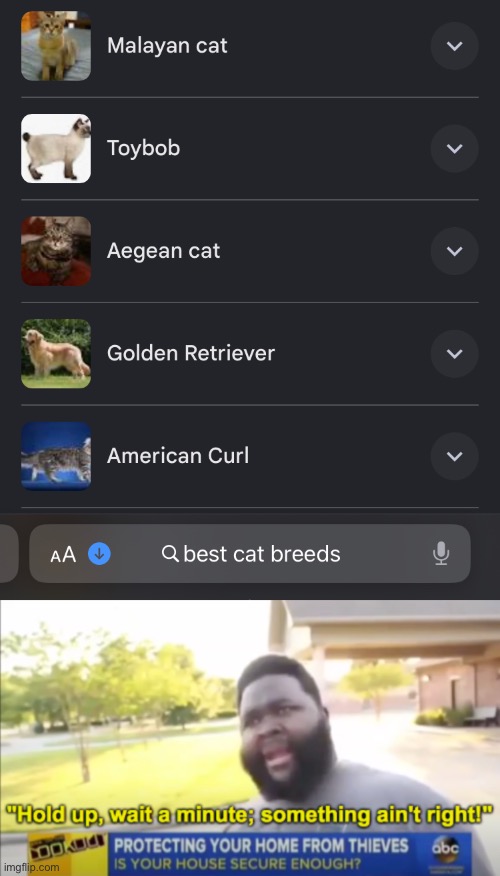 bruh | image tagged in you had one job,hold up wait a minute something aint right | made w/ Imgflip meme maker