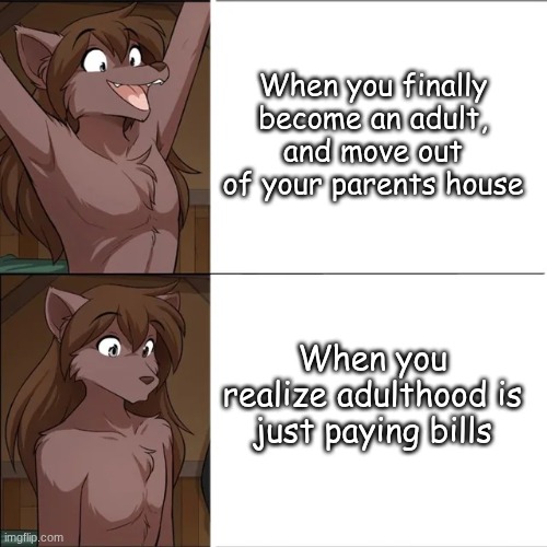 (art by thomas fishbach) | When you finally become an adult, and move out of your parents house; When you realize adulthood is just paying bills | image tagged in natani oh,natani,furry,relatable,adulting | made w/ Imgflip meme maker