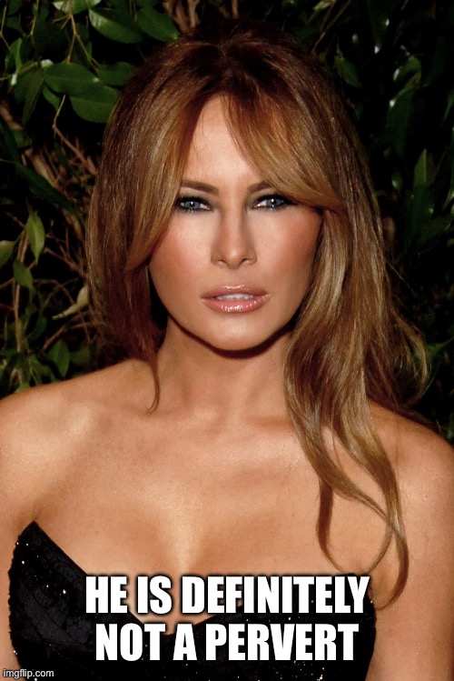 melania trump | HE IS DEFINITELY NOT A PERVERT | image tagged in melania trump | made w/ Imgflip meme maker
