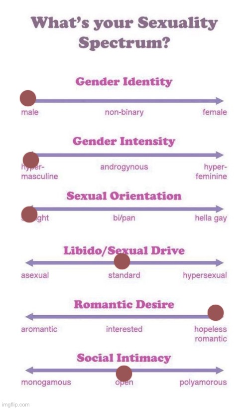 Idk | image tagged in what's your sexuality spectrum | made w/ Imgflip meme maker