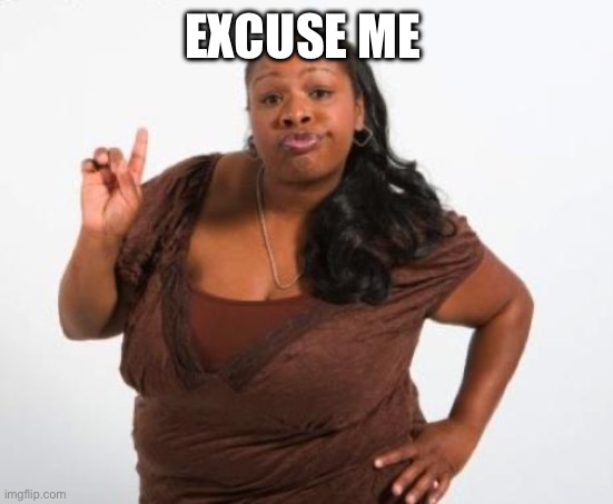 Sassy Black Lady | EXCUSE ME | image tagged in sassy black lady | made w/ Imgflip meme maker