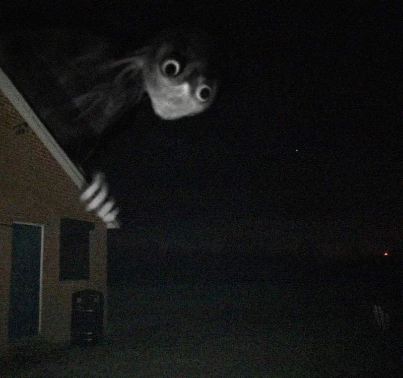 High Quality Nervous Houseguest Blank Meme Template