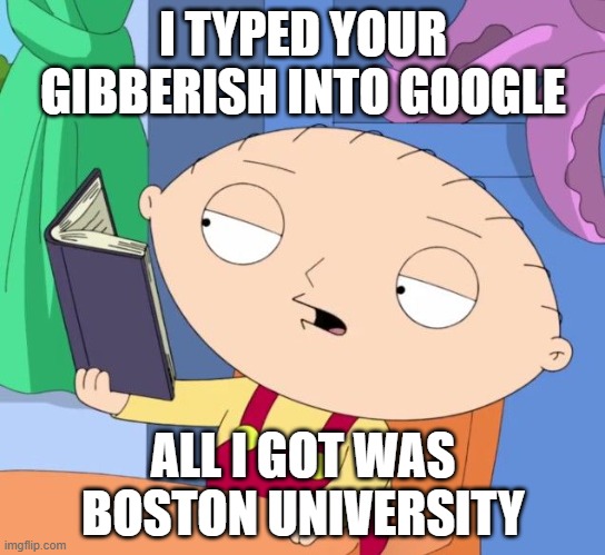 Stewie, By the way | I TYPED YOUR GIBBERISH INTO GOOGLE; ALL I GOT WAS BOSTON UNIVERSITY | image tagged in stewie | made w/ Imgflip meme maker