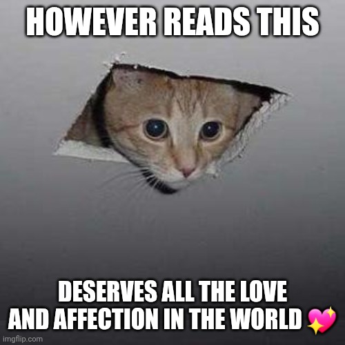 Yes you do :) | HOWEVER READS THIS; DESERVES ALL THE LOVE AND AFFECTION IN THE WORLD 💖 | image tagged in memes,ceiling cat,kindness,love | made w/ Imgflip meme maker