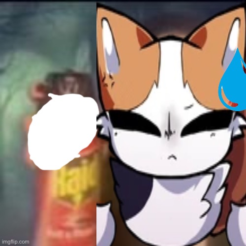 Catto boi raid spray | image tagged in raid | made w/ Imgflip meme maker