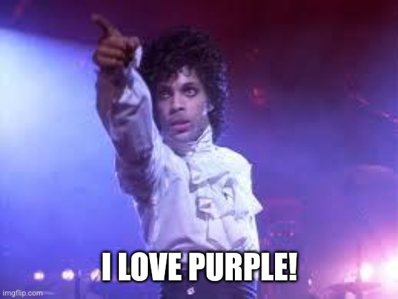 I LOVE PURPLE! | image tagged in prince | made w/ Imgflip meme maker