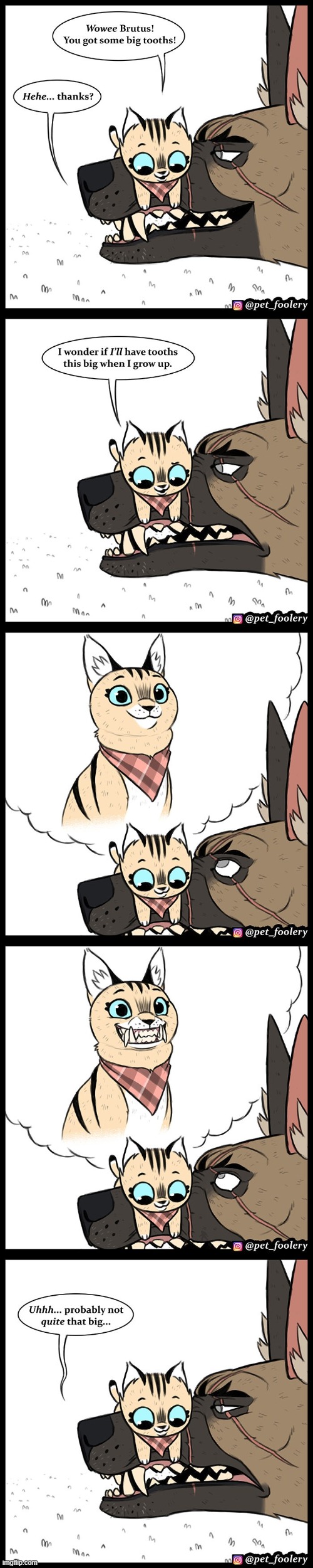 image tagged in cat,dog,teeth,big,imagination,lol | made w/ Imgflip meme maker