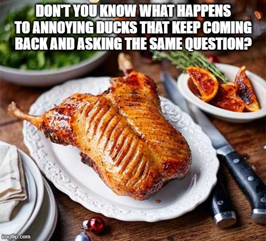 DON'T YOU KNOW WHAT HAPPENS TO ANNOYING DUCKS THAT KEEP COMING BACK AND ASKING THE SAME QUESTION? | made w/ Imgflip meme maker