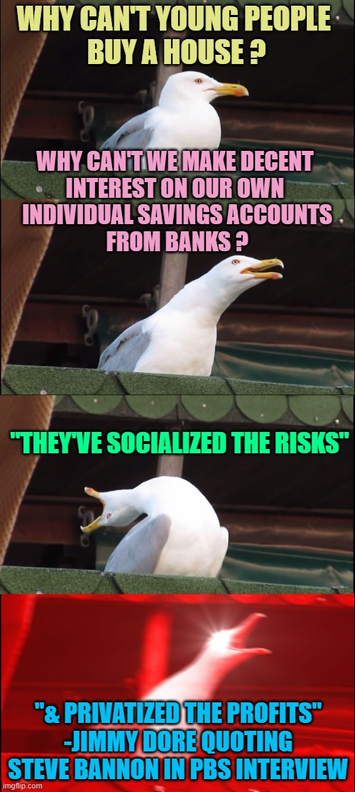 Real Estate & Savings Interest paid by Banks in the Current Times | WHY CAN'T YOUNG PEOPLE 
BUY A HOUSE ? WHY CAN'T WE MAKE DECENT 
INTEREST ON OUR OWN 
INDIVIDUAL SAVINGS ACCOUNTS
FROM BANKS ? "THEY'VE SOCIALIZED THE RISKS"; "& PRIVATIZED THE PROFITS"
-JIMMY DORE QUOTING STEVE BANNON IN PBS INTERVIEW | image tagged in memes,inhaling seagull,loan,house,bank account,individuality | made w/ Imgflip meme maker