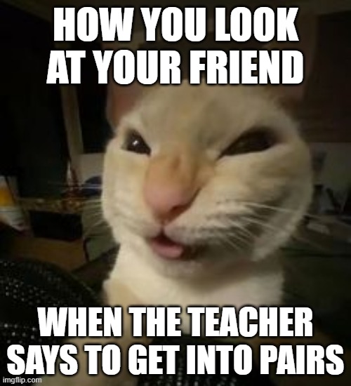 image tagged in school,relatable,memes,cat,funny cats | made w/ Imgflip meme maker