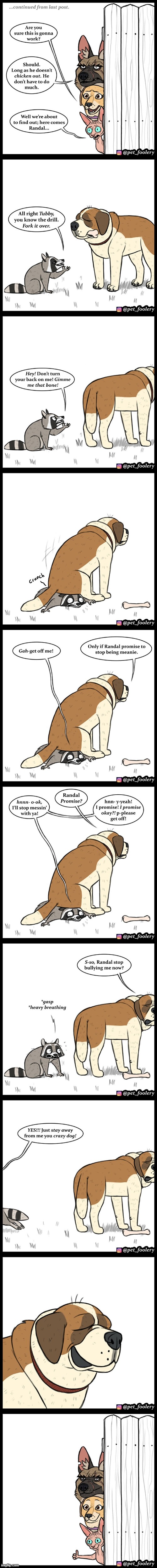 image tagged in dogs,cat,racoon,bone,sit,ouch | made w/ Imgflip meme maker