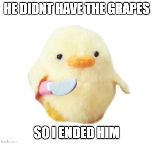 HE DIDNT HAVE THE GRAPES SO I ENDED HIM | image tagged in duck with knife | made w/ Imgflip meme maker